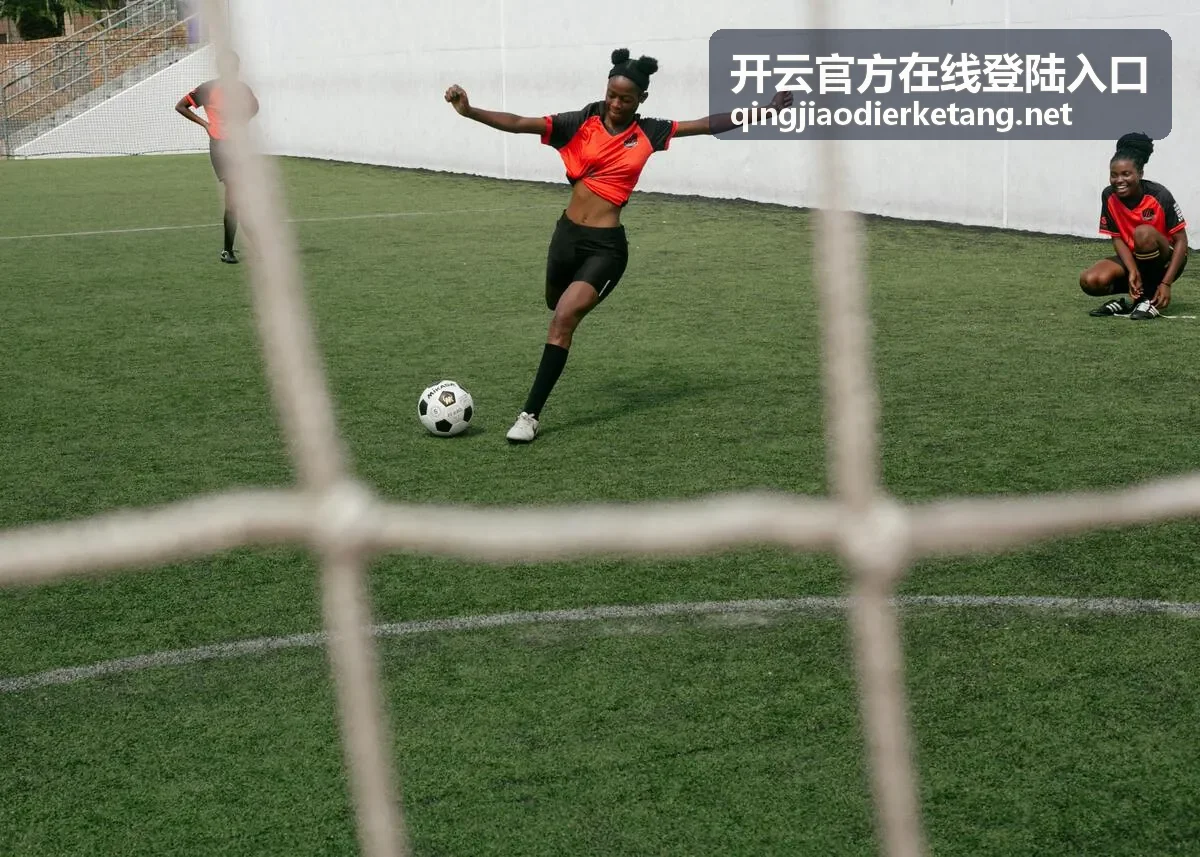 开云官方在线登陆入口地址核对场景