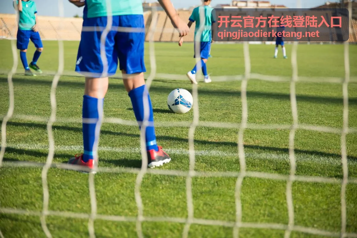 开云官方在线登陆入口地址核对示意图