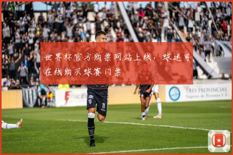 世界杯官方购票网站上线，球迷可在线购买球赛门票