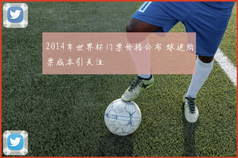 2014年世界杯门票价格公布 球迷购票成本引关注