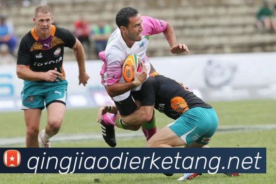 世界杯开户平台服务体系